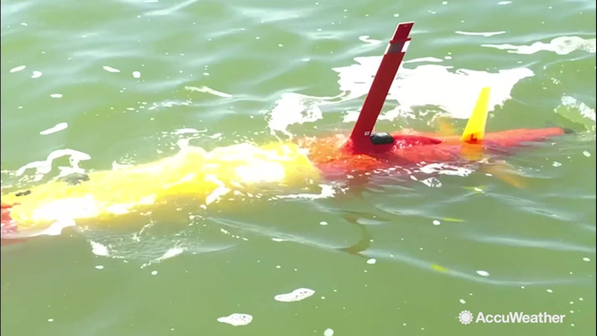 Underwater robots are on patrol in Lake Erie helping researchers better understand a harmful algae bloom that plagues the lake on an annual basis. AccuWeather's Jonathan Petramala takes us under the sea to see what they are getting.