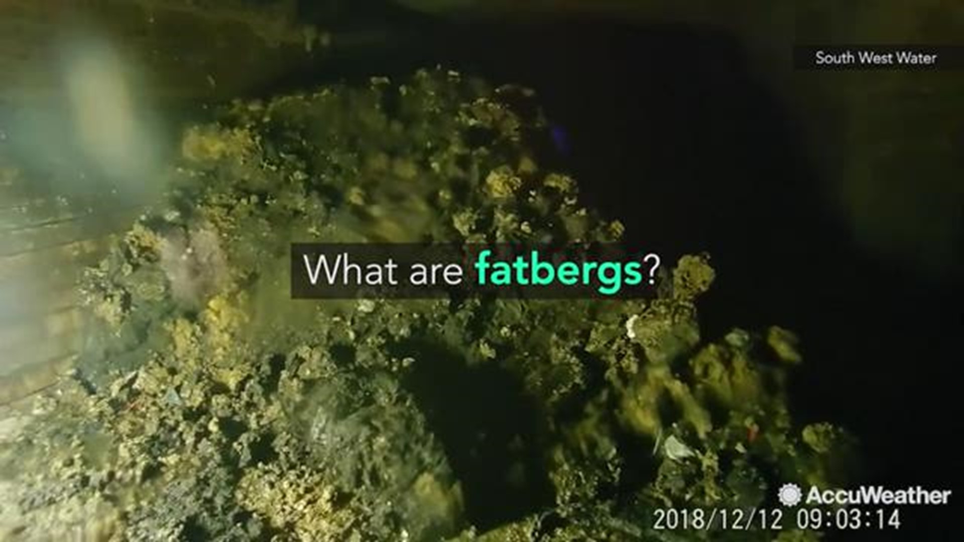 A fatberg forms like a snowball, as grease and waste congeal together in the sewer. When this mass gets large enough, the fatberg can clog sewers entirely.