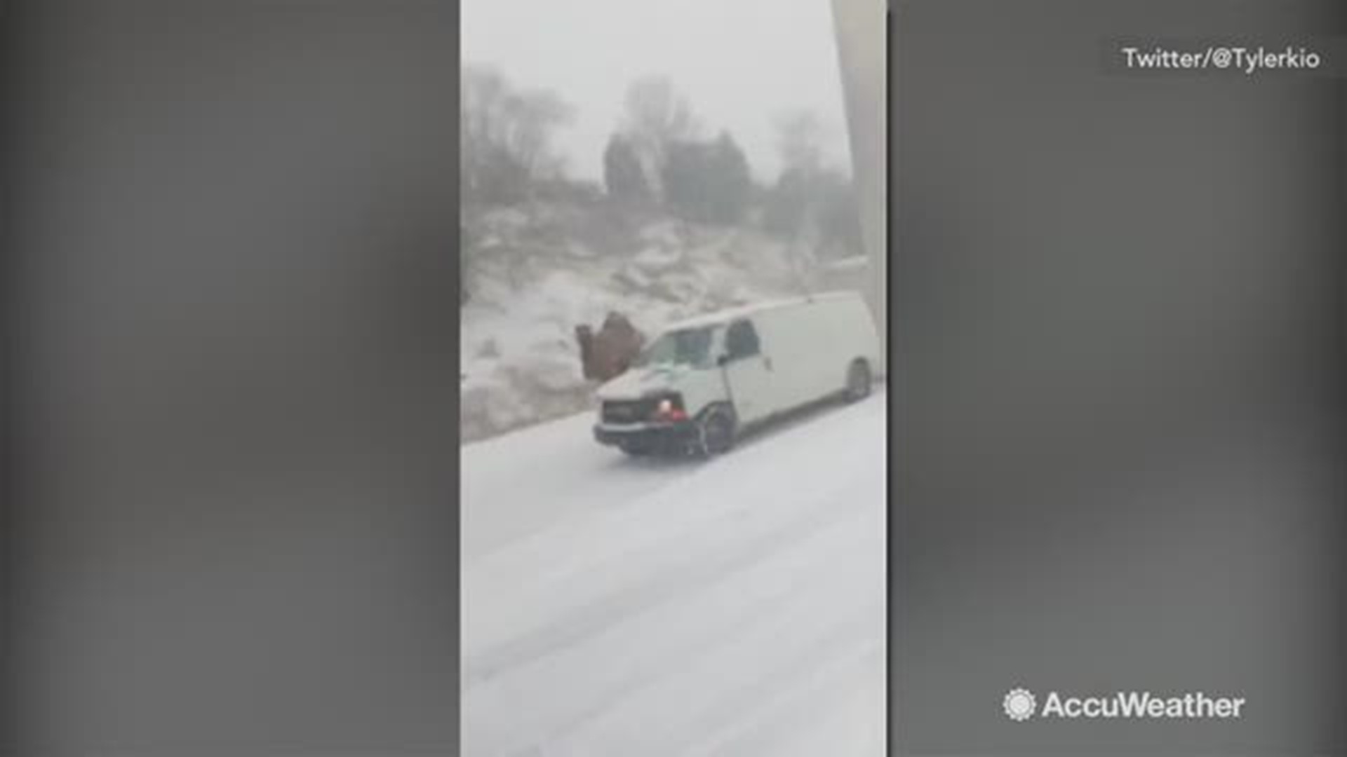 What are the odds of seeing a camel in a snowy highway of all places? That's what happened here in Philadelphia, Pennsylvania on Nov. 15.