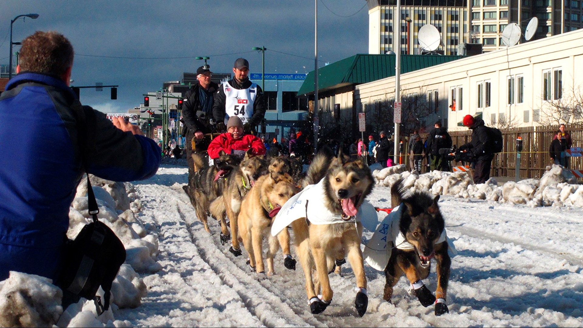 Dog that completed Iditarod sled race dies of pneumonia | kgw.com