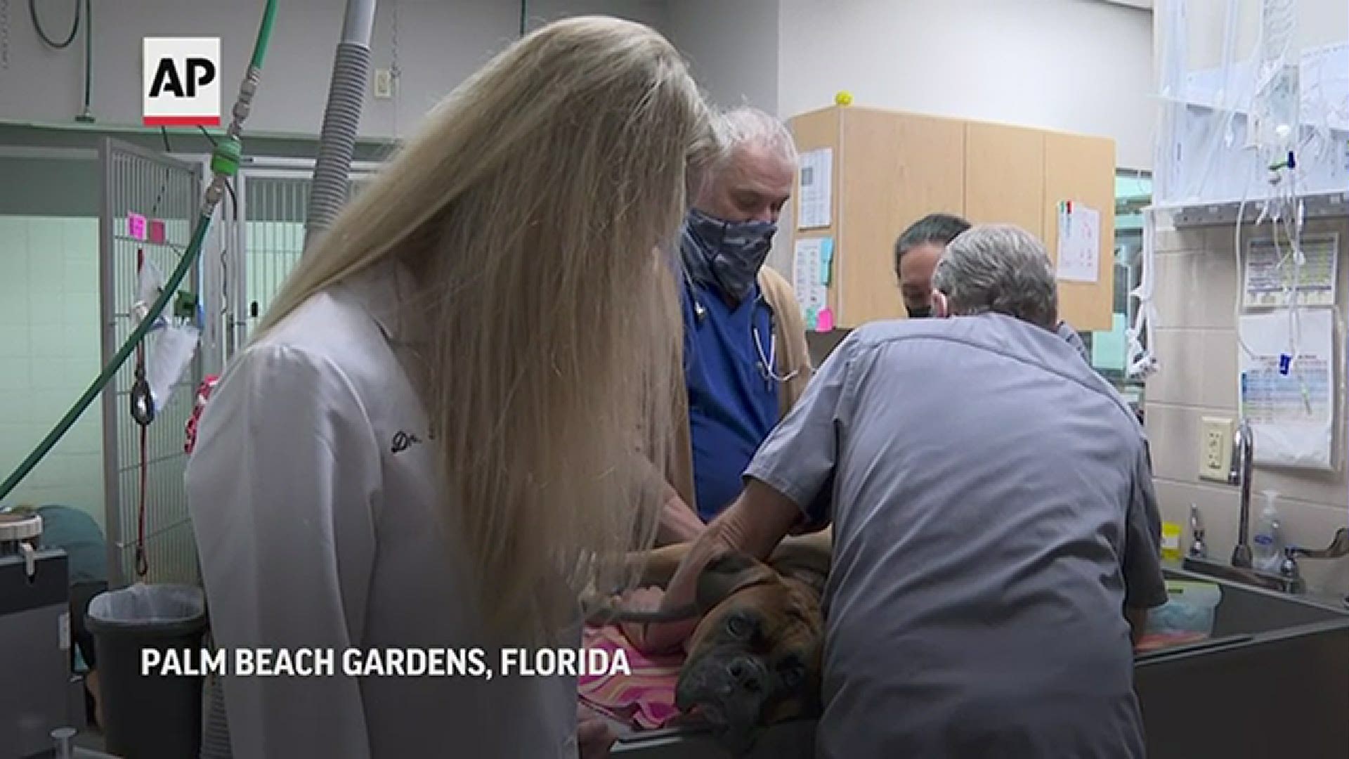 They are so backlogged they can't take new patients, even when extending hours and hiring additional staff.