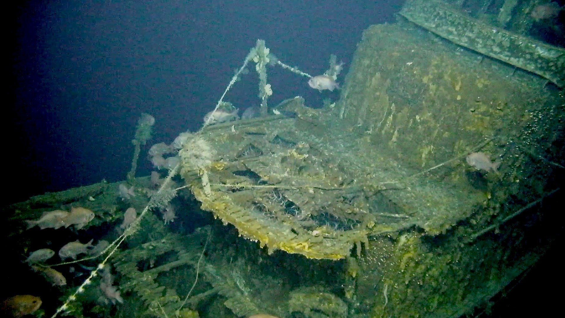 the wreckage of which world war ii navy ship was recently discovered in the pacific