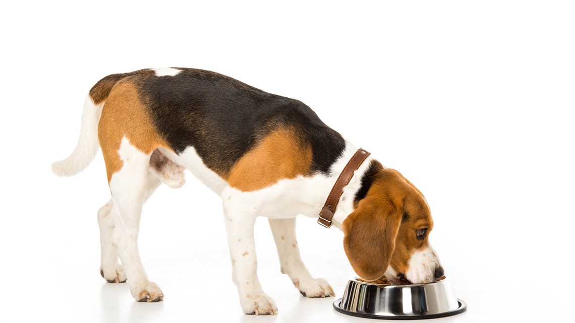 what brands of dog food are being recalled