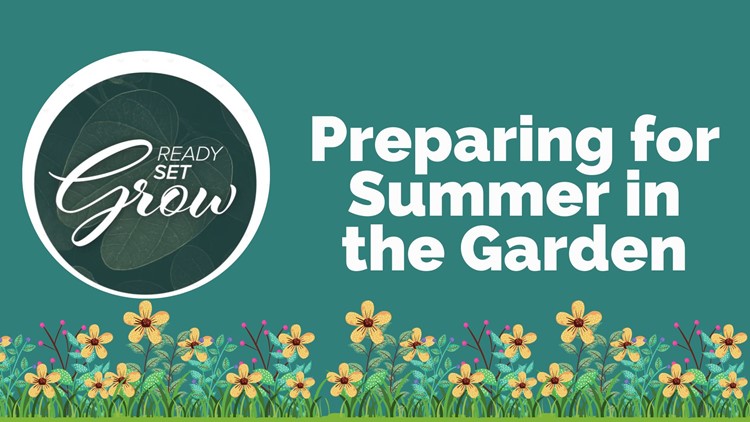 Ready, Set, Grow | Preparing for summer in the garden