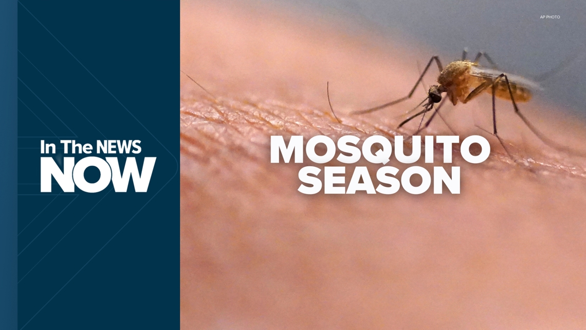 Mosquito season | In The News Now | kgw.com