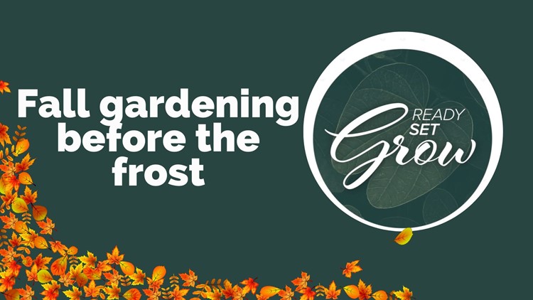 Ready, Set, Grow | Fall gardening before the frost