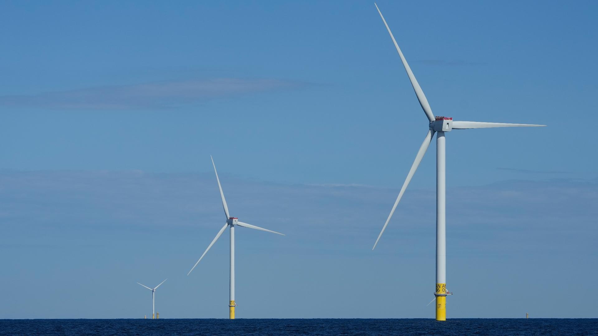Oregon, 16 states challenge Trump's wind energy order | kgw.com