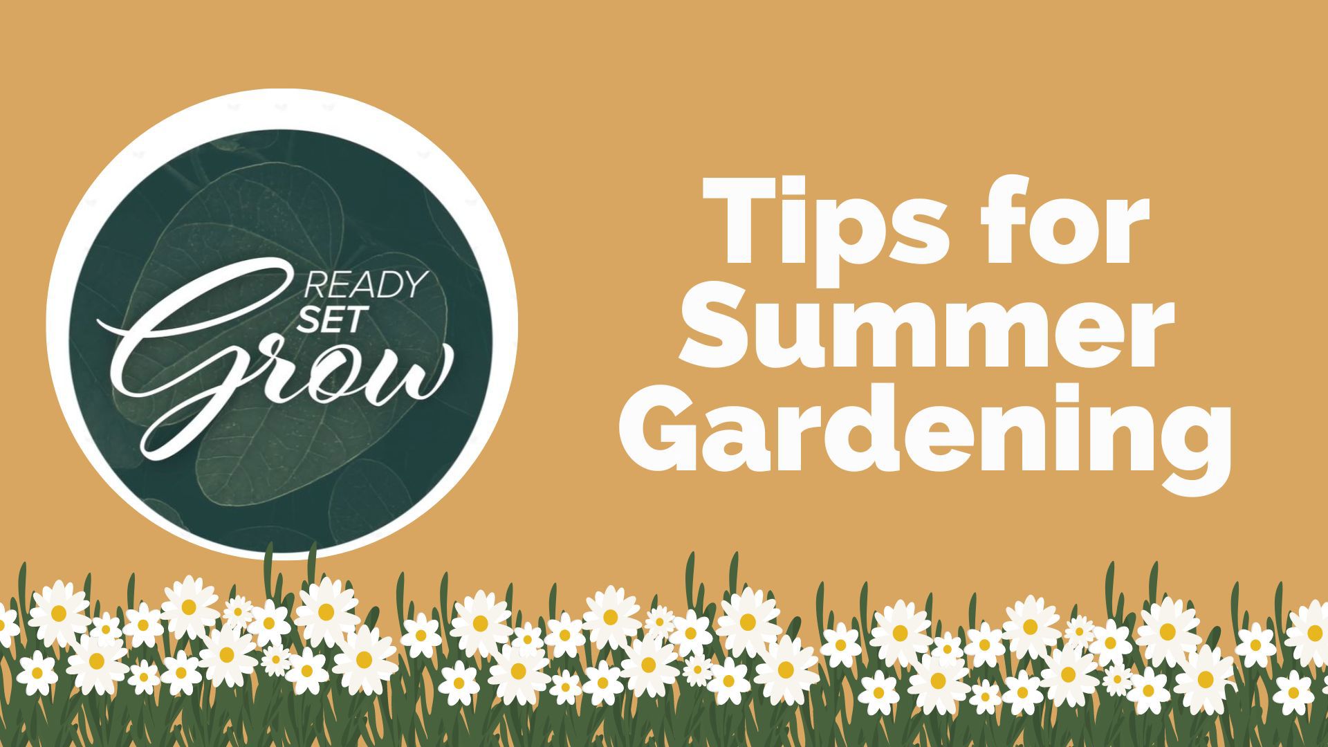 Ready, Set, Grow | Tips for summer gardening