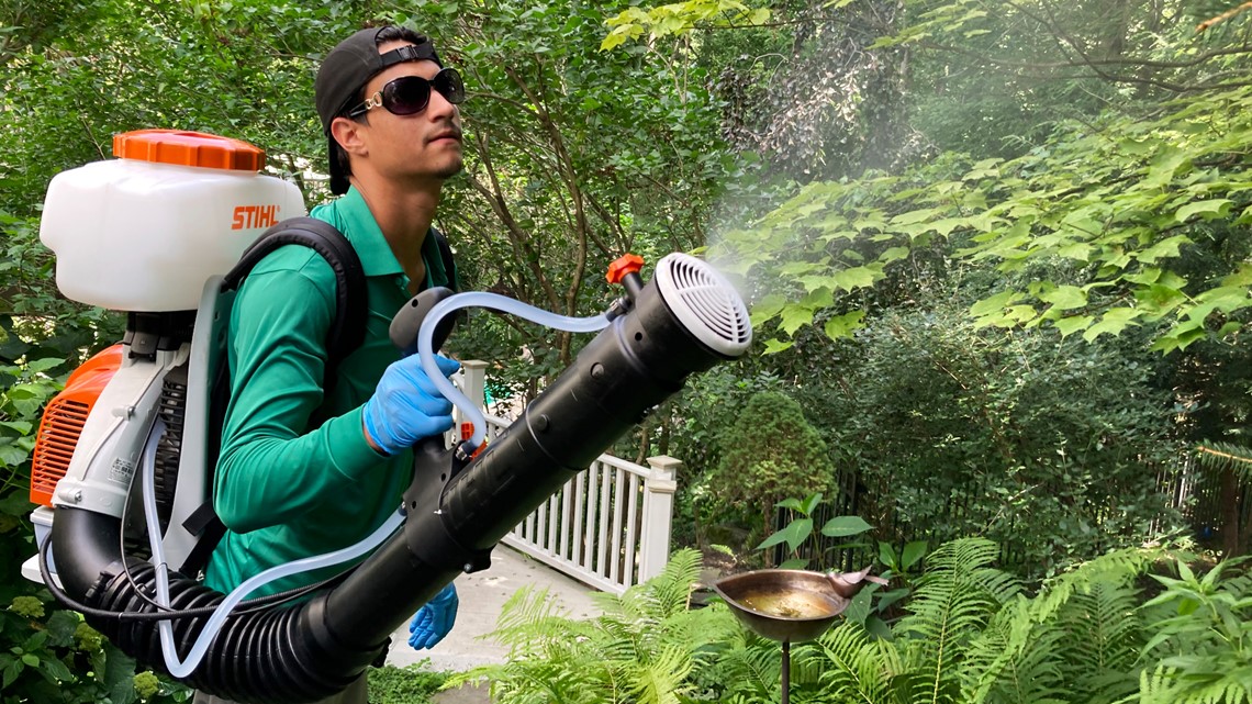 Backyard mosquito spraying booms, but may be too impactful - Vimarsana News
