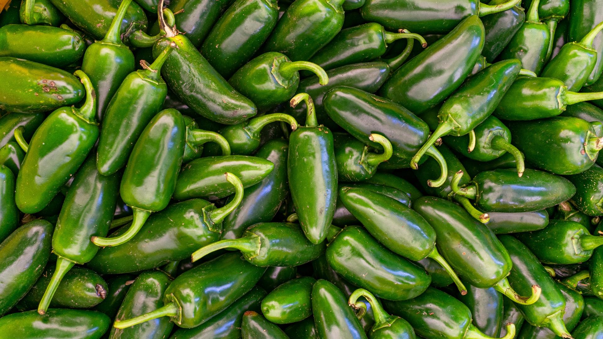 Coverage image for: CDC: Salmonella outbreak linked to jalapeno peppers expands to 27 states