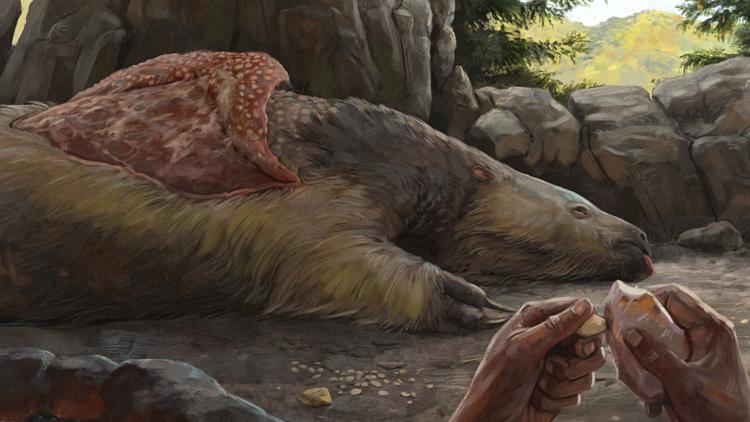 Early Americans May Have Lived With Mastodons, Giant Sloths | Kgw.com