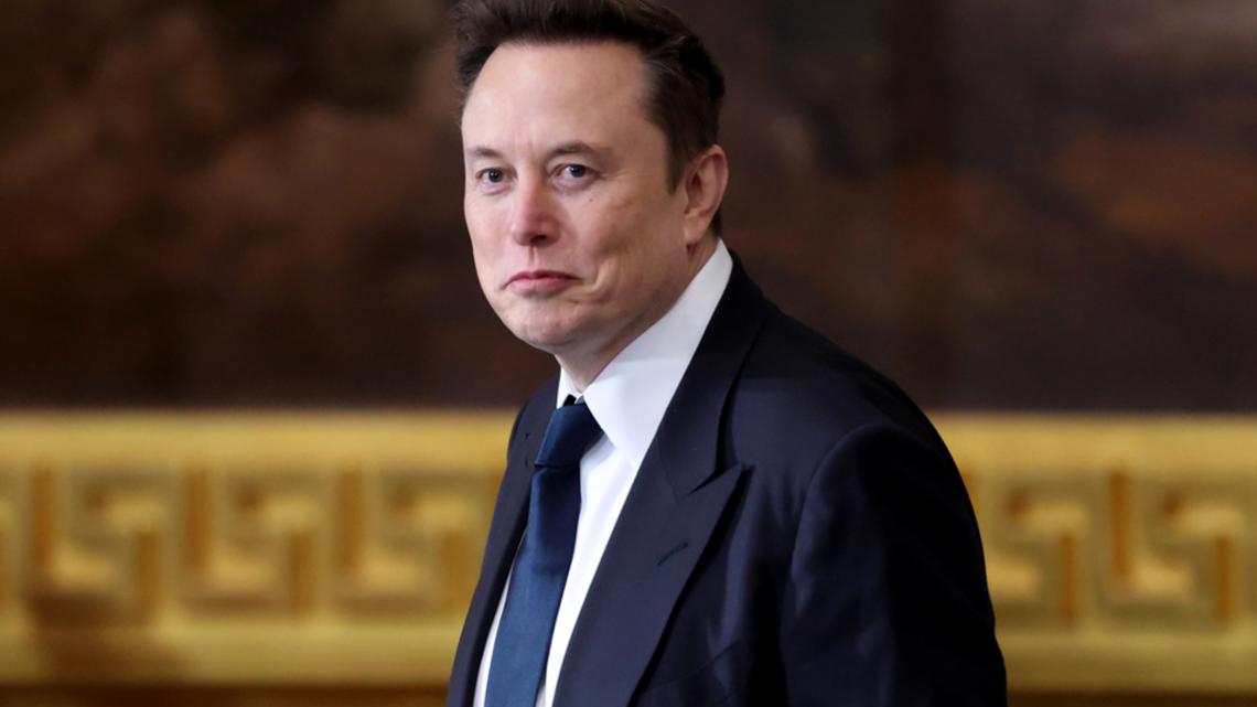 Author says she gave birth to Elon Musk's 13th child last year