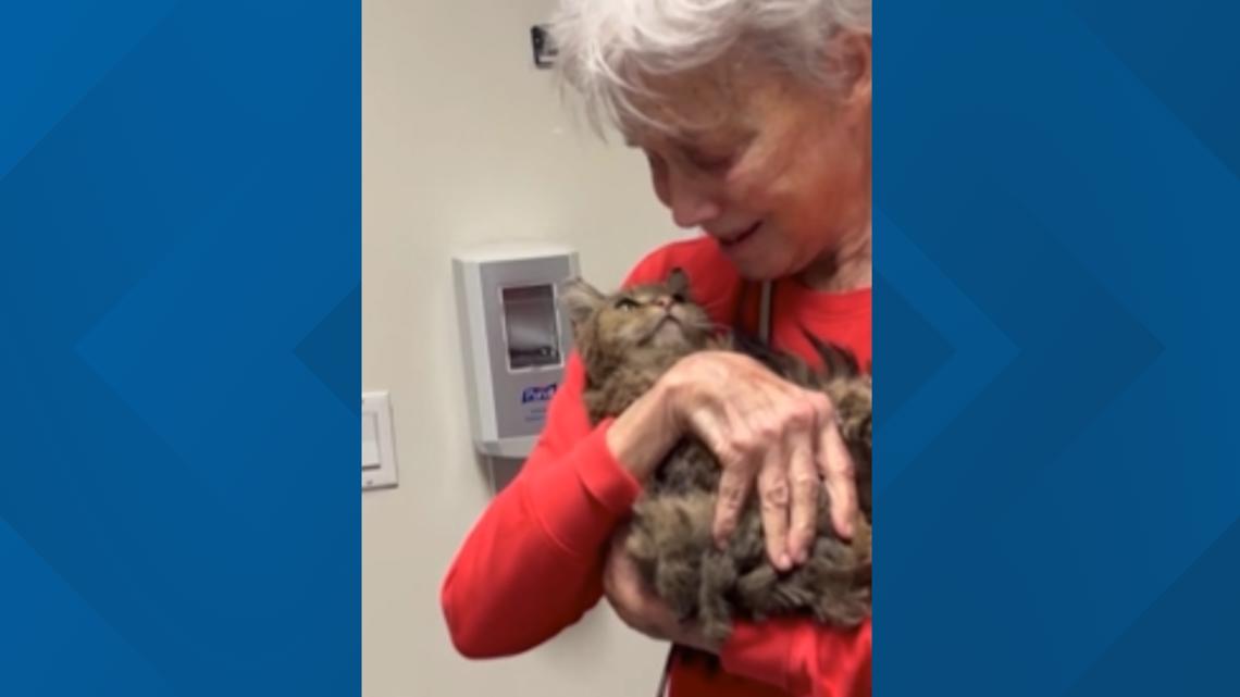 Cat Missing Two Months Reunites with Owner After California Wildfire