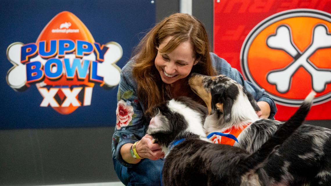 Puppy Bowl XXI Set for Super Bowl Sunday