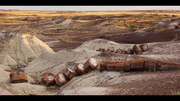 b4576765-55f5-454f-9159-7dd9b57de60f_750