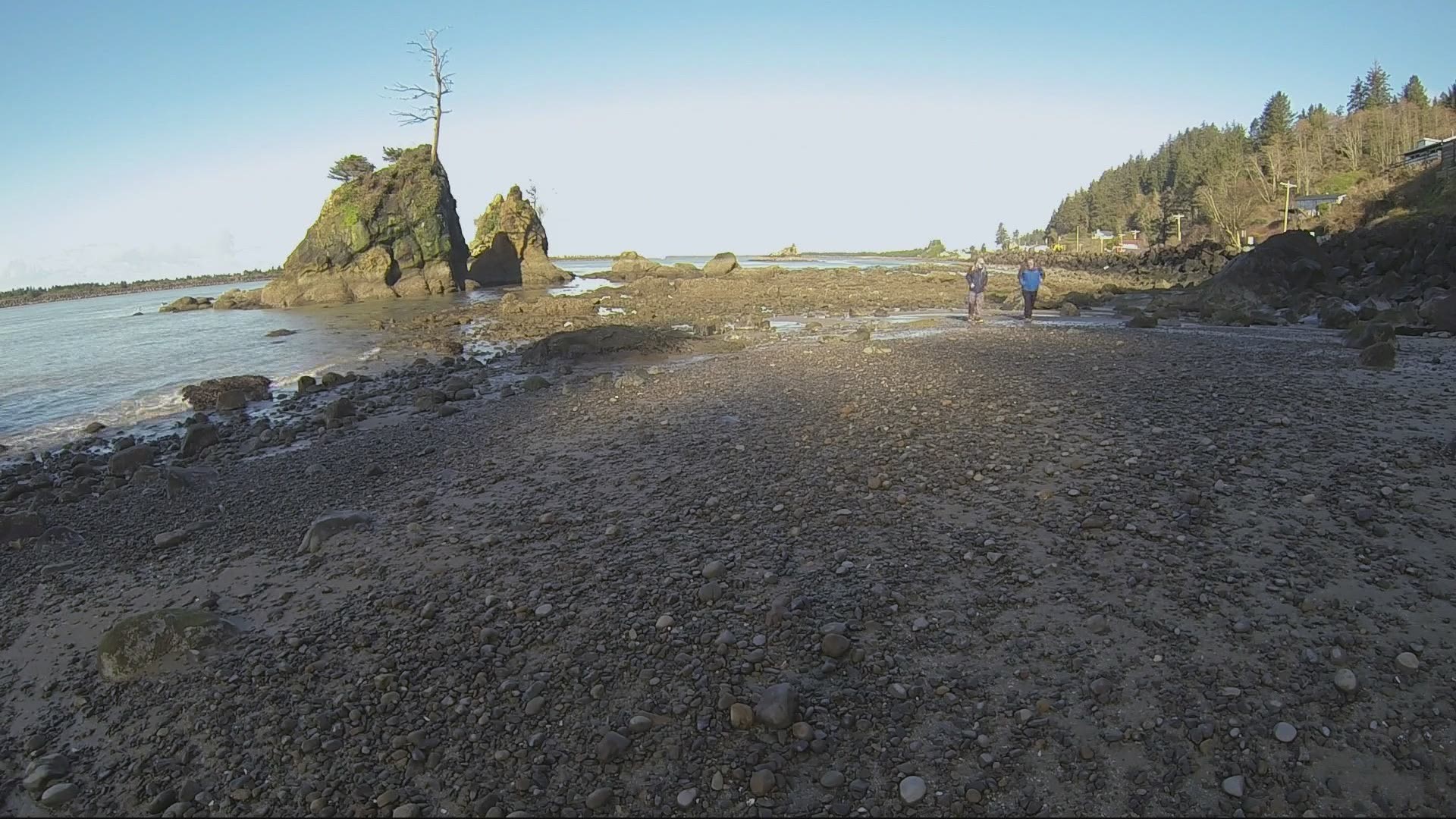 Grant takes us on a journey to see the wonders of the Oregon coast.