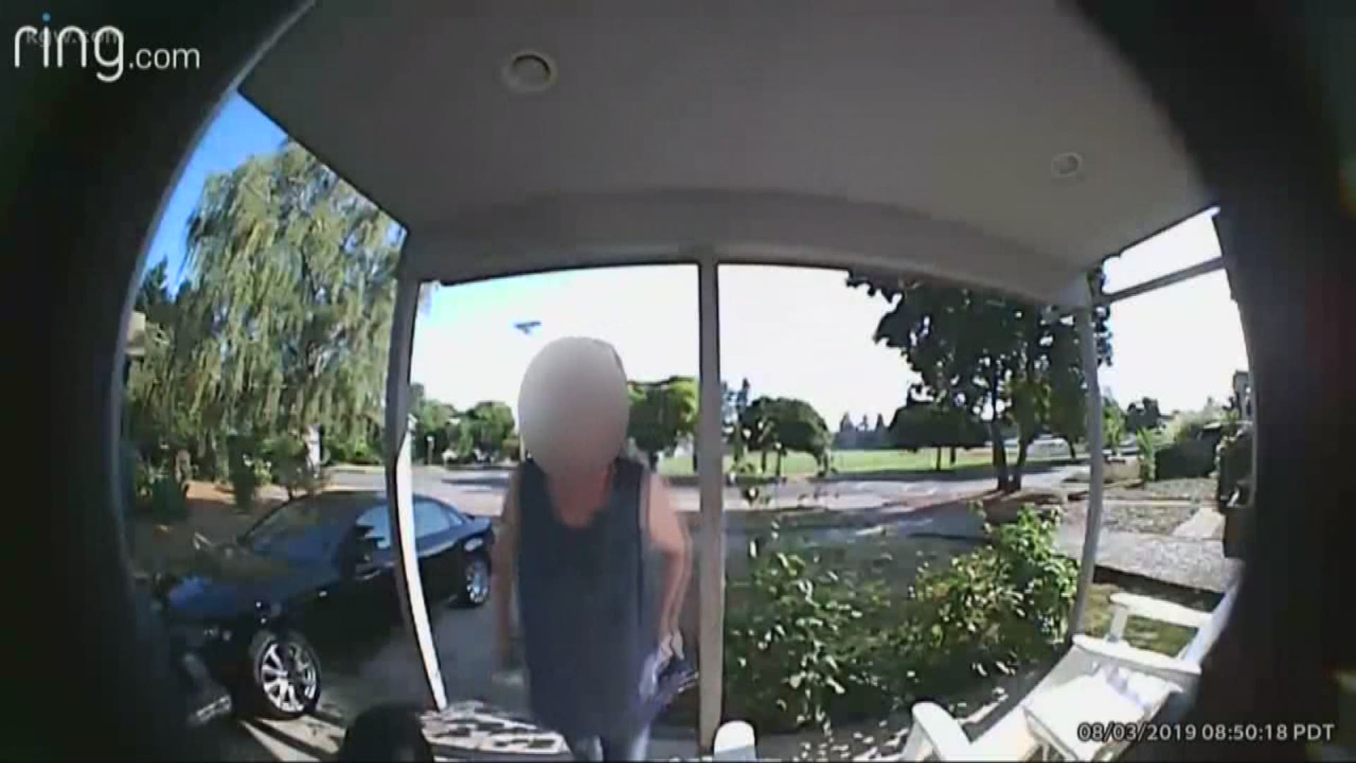 Video shows a woman dumping dog feces into a stranger’s mailbox in St. Johns.