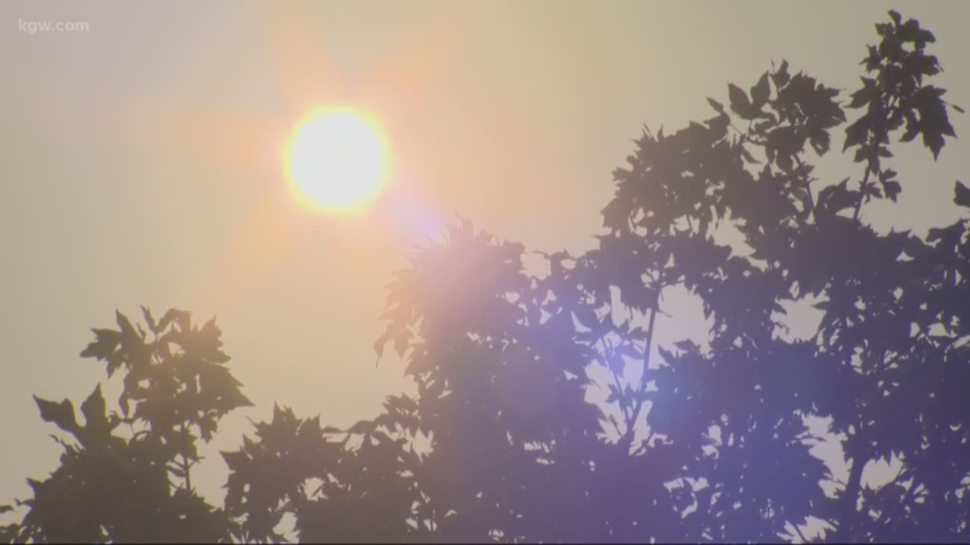 The air is unhealthy in the Portland metro area.