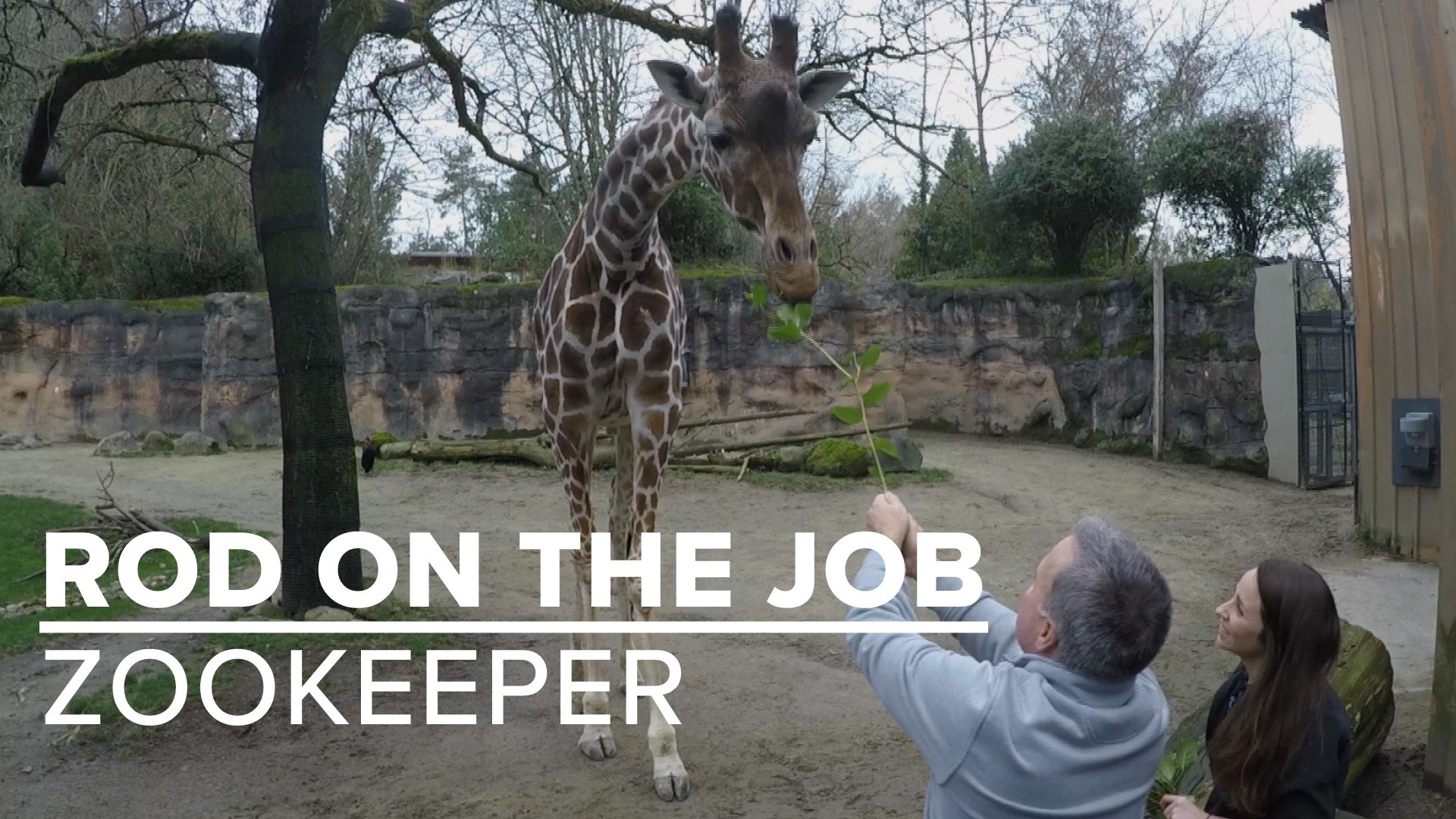 What does it take to be a zookeeper? Rod Hill visited the Oregon Zoo to find out.