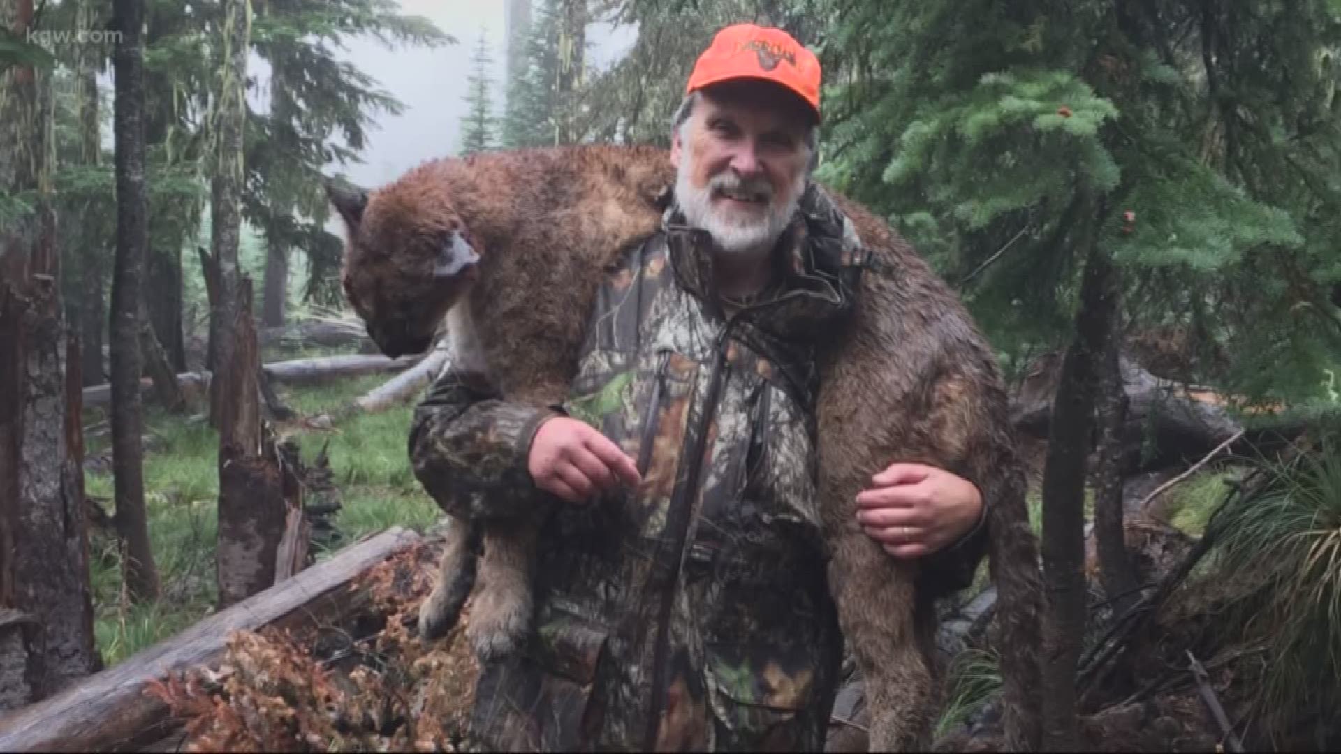 Billy Nylund says in about 12 years of living and hunting near Mount Hood, he's seen a lot of things. But up until last weekend, he had never run into a trio of cougars.