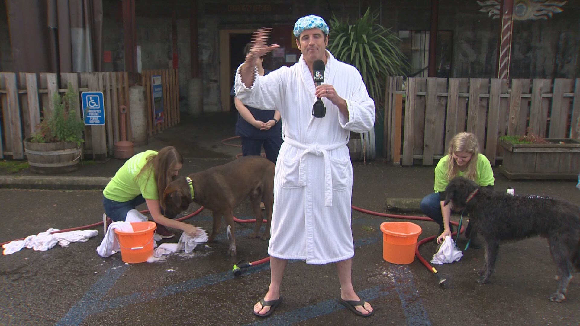Drew Carney previews the 25th annual Dogtoberfest dog wash. The event raises money for the DoveLewis Blood Bank.