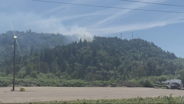 Brush fire sparks south of a lumber mill in Springfield, Oregon