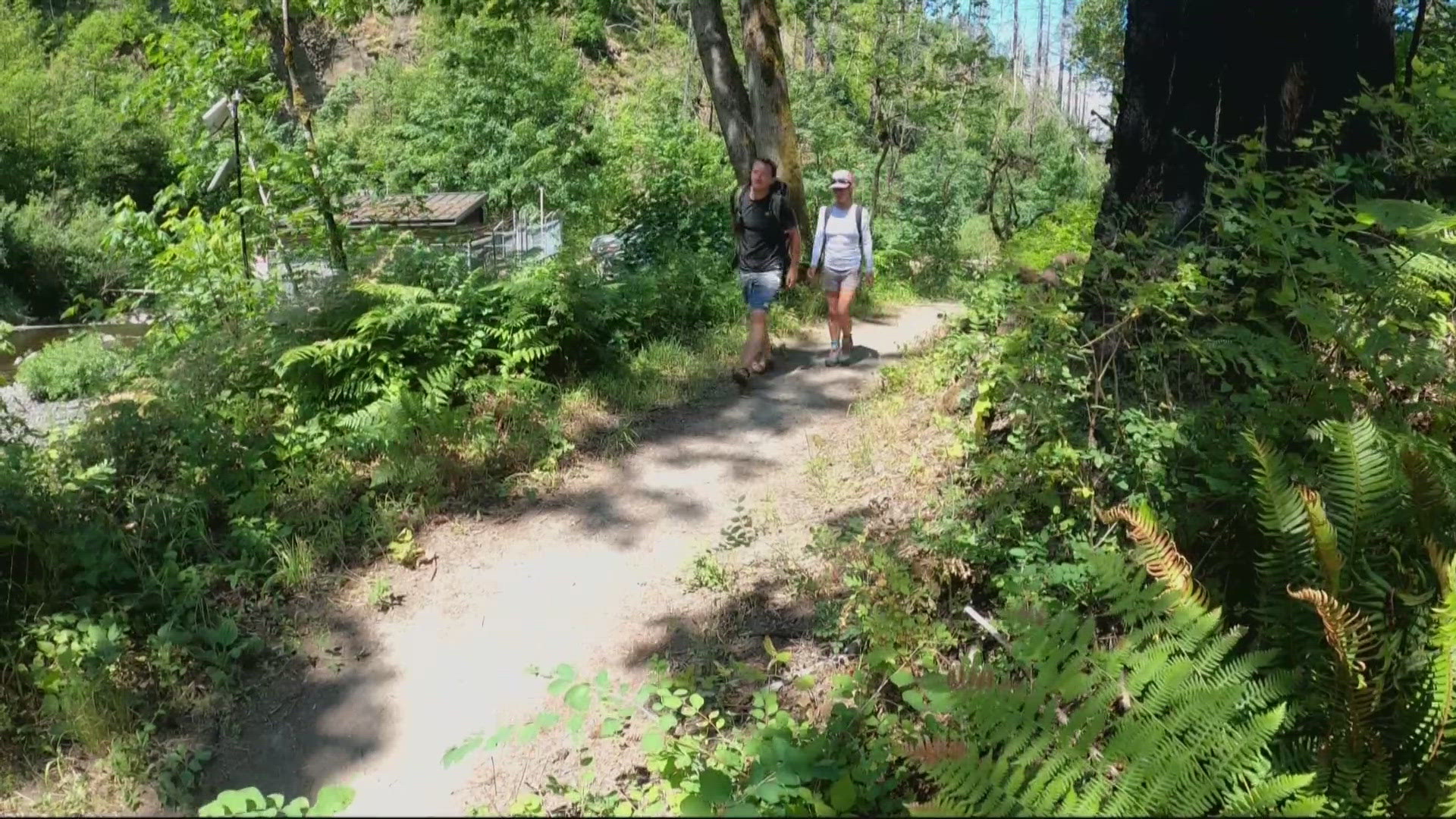 As hiking season ramps up, local officials urge Oregonians to pack the 'Ten Essentials' to stay safe on the trails.
