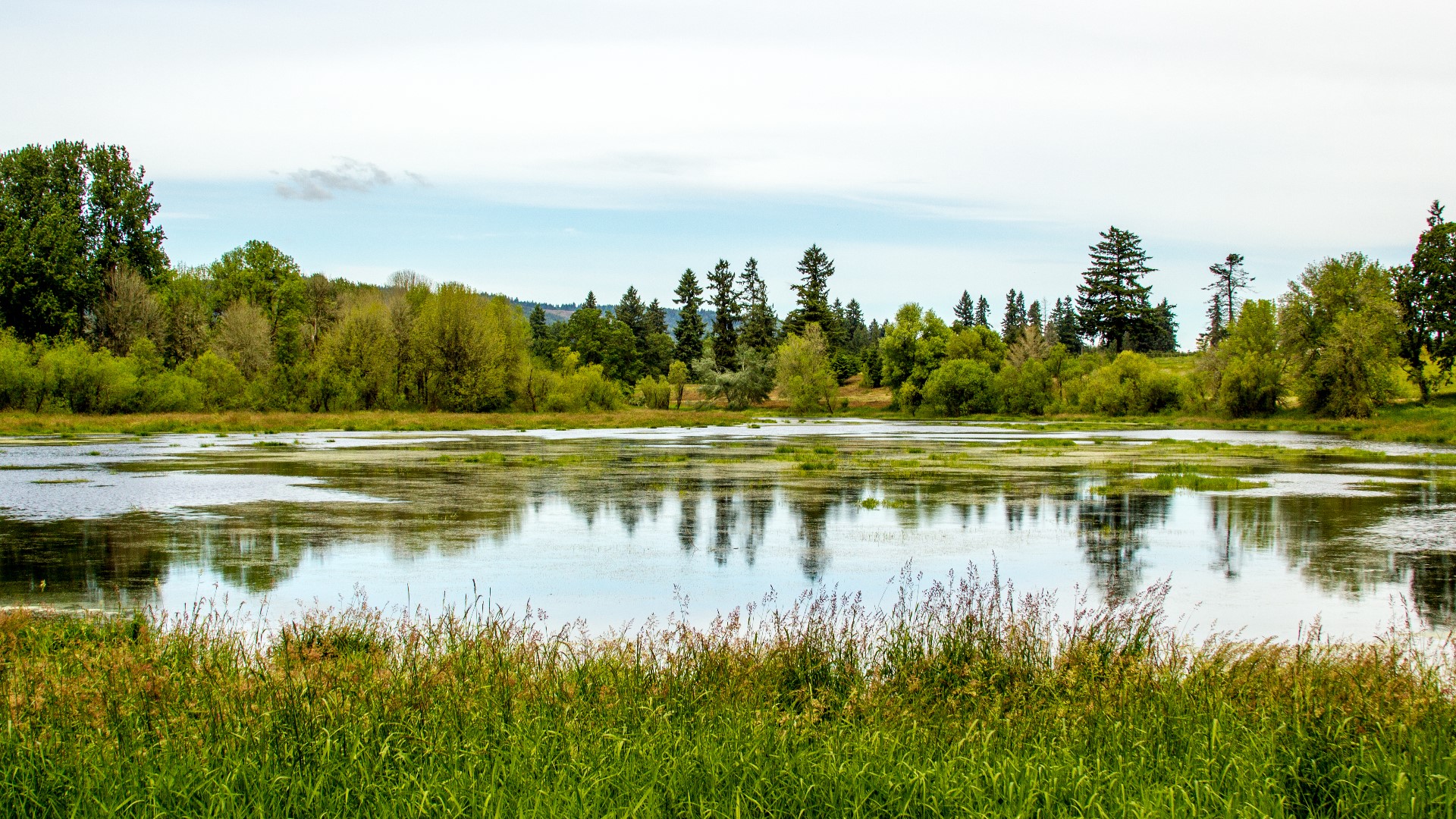 Rod on the Road visits Sauvie Island