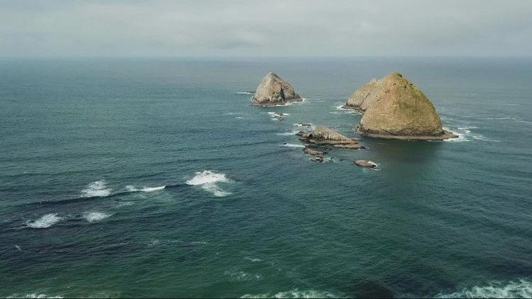 Marine life along Oregon Coast struggle with climate change