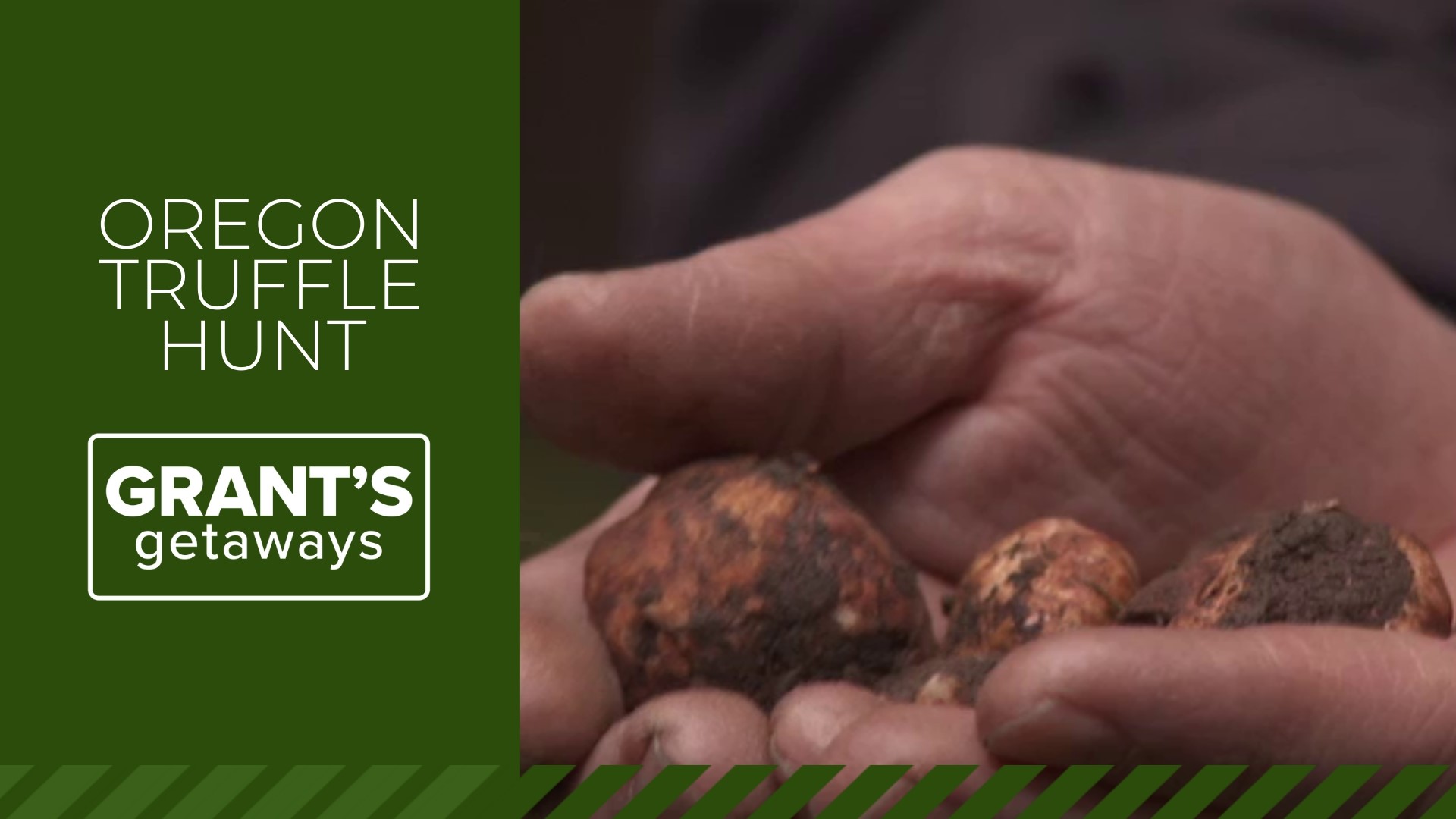 This week we take a trip with man's best friend, sniffing out some hidden riches — underground Oregon truffles.