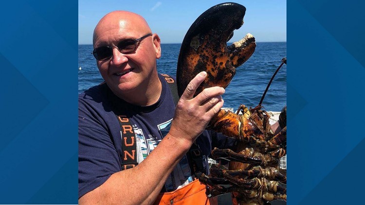 Twenty-five pound 100 year old lobster caught off Maine 