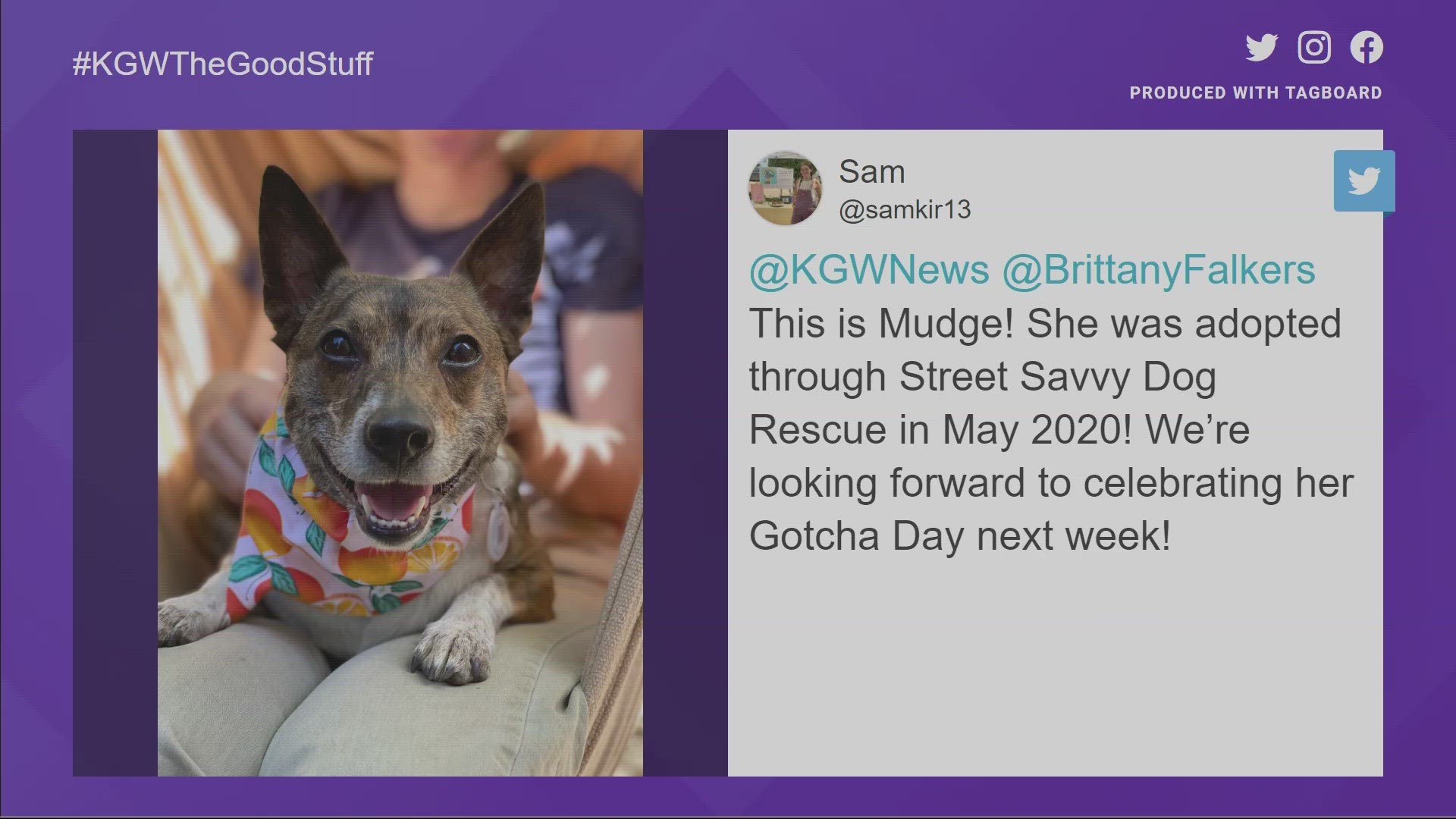 On the Good Stuff, KGW viewers submitted pictures of their rescue animals.