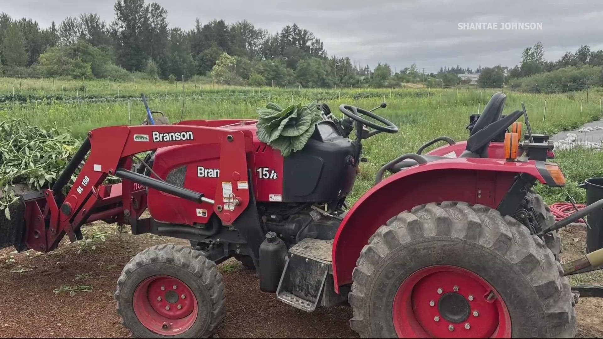 kgw.com - Celine Stevens - Gresham farming nonprofit forced to pause mission after thief steals nearly $30K in vital farm equipment