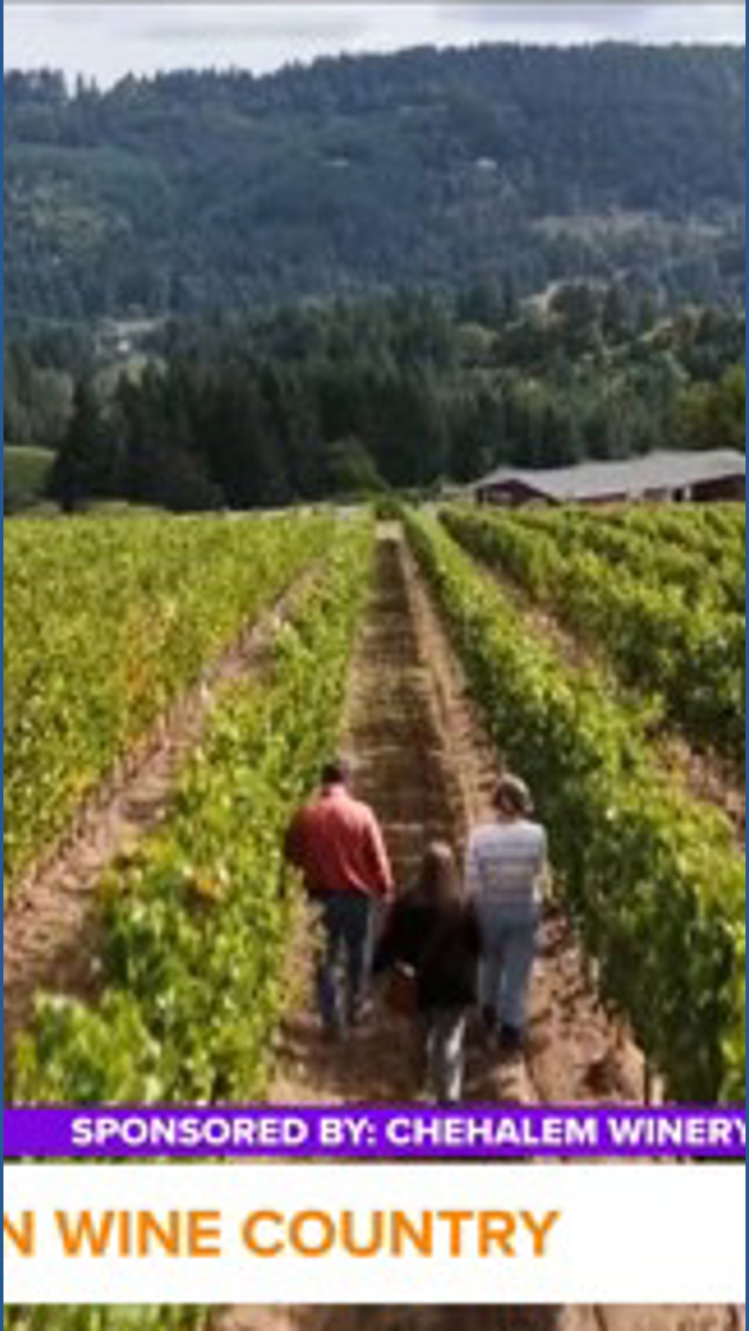 Hourly Process Map Get an inside look at the wine making process with a vineyard tour at ...