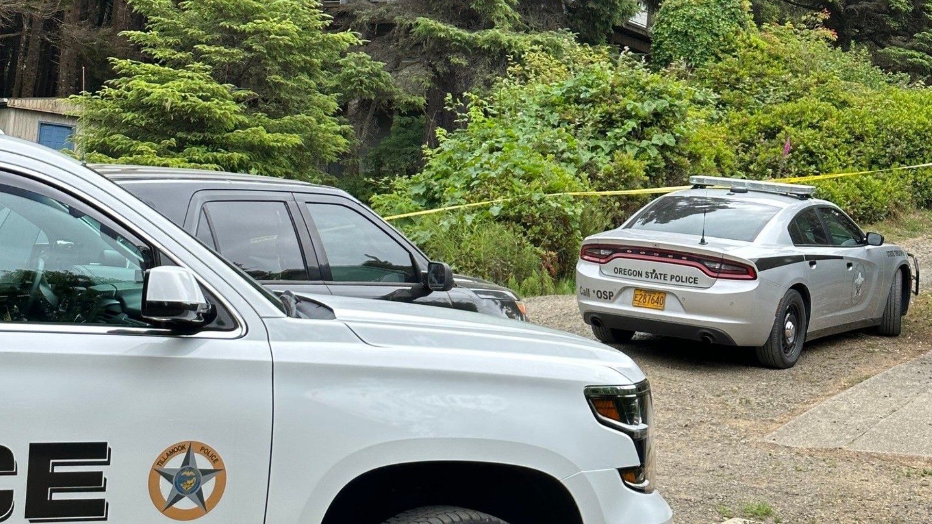 Portland man dead from possible homicide in Tillamook Co | kgw.com