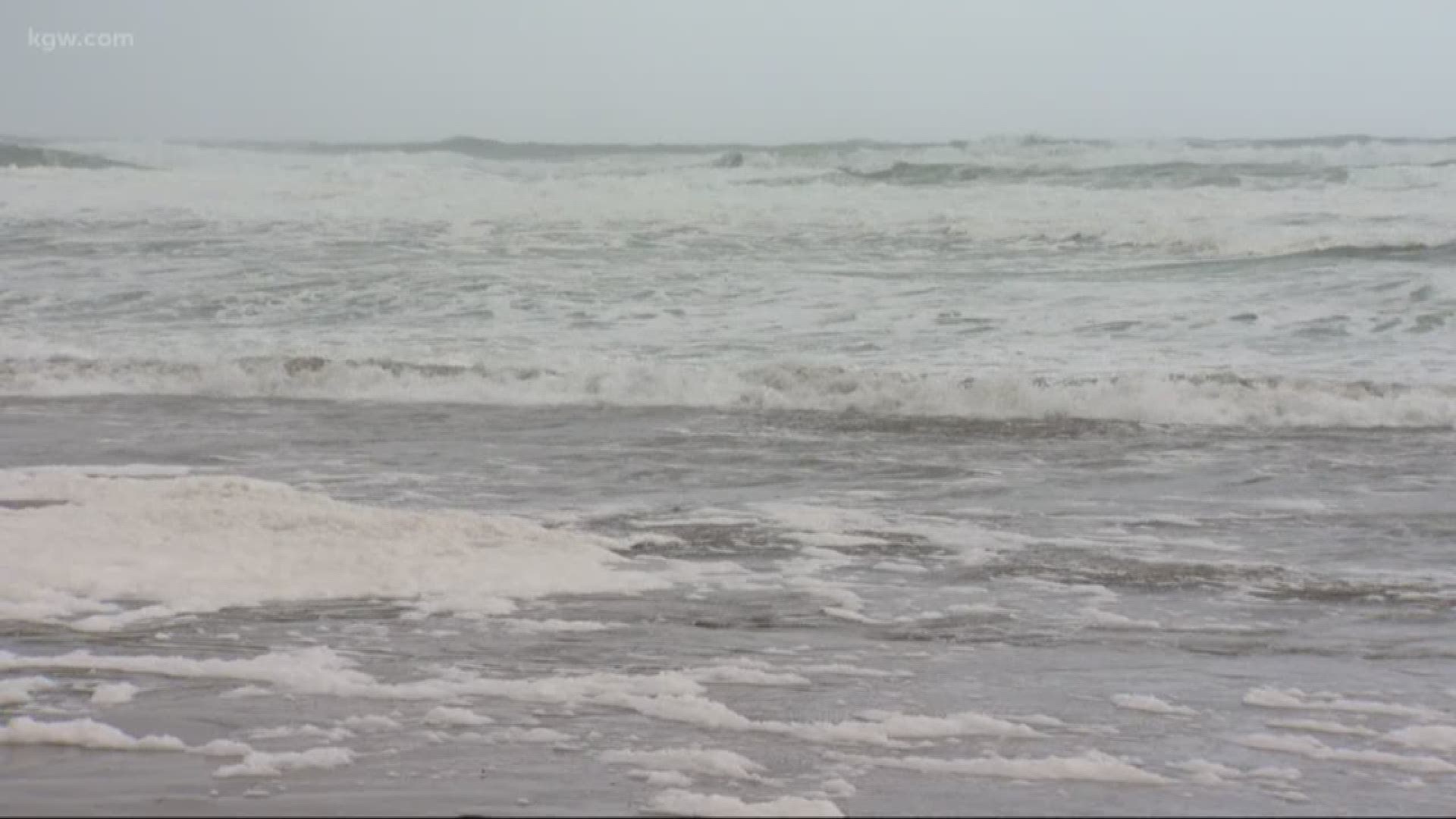 Crews are searching for the child near Falcon Cove, in the area of Arch Cape and Cannon Beach. A High Surf Warning was in effect due to high tides.