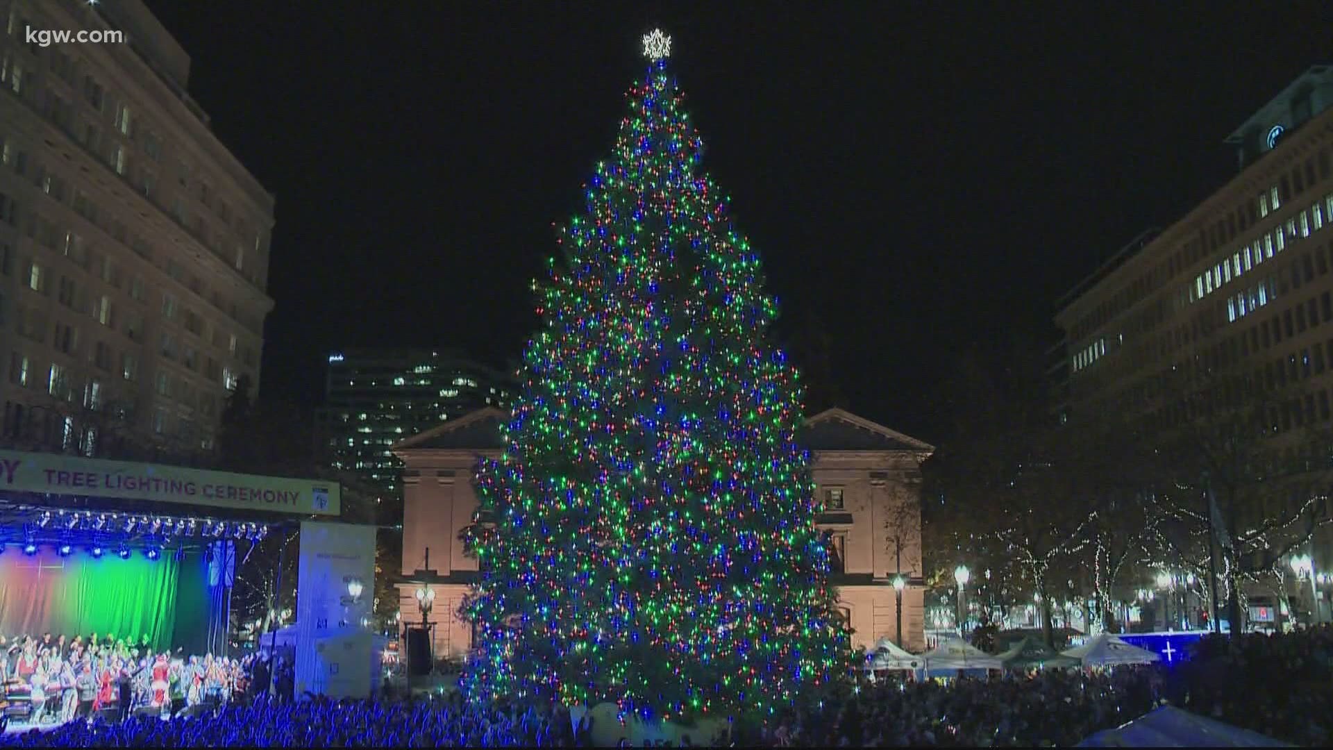 Portland Tree Lighting