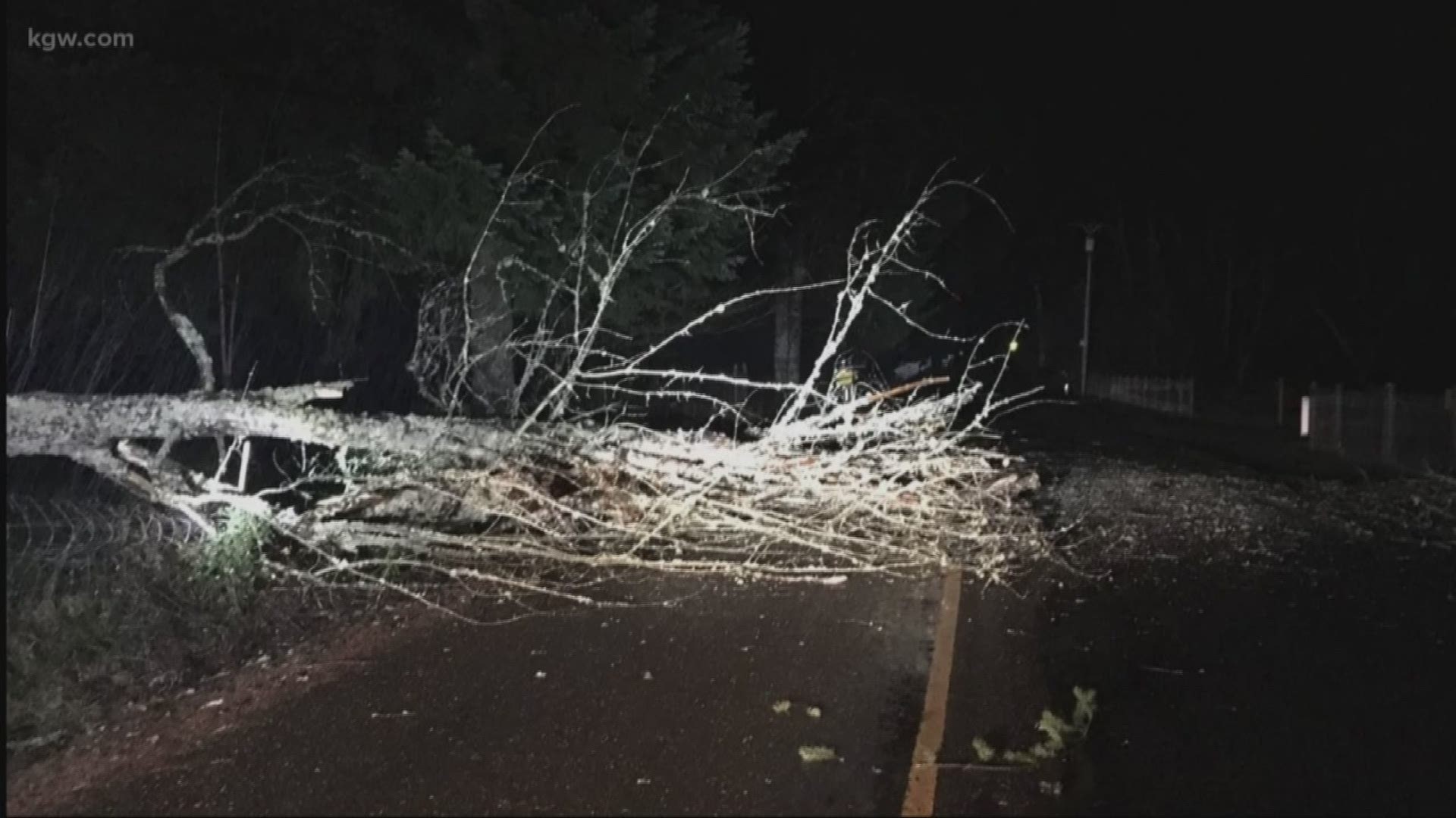 Rain, strong winds sweep Oregon coast and Portland area | kgw.com