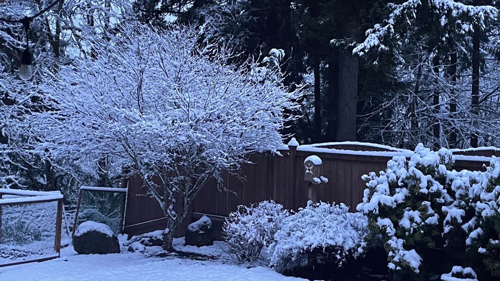 Tourists visit the coast range to see Valentine's Day snow | kgw.com