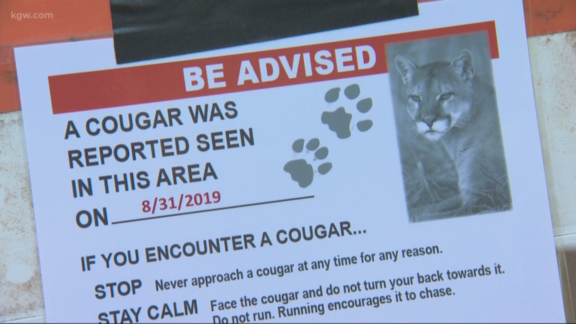 A jogger kicked a cougar in the head during an encounter near Corvallis. Then the cougar chased him before it was scared away.