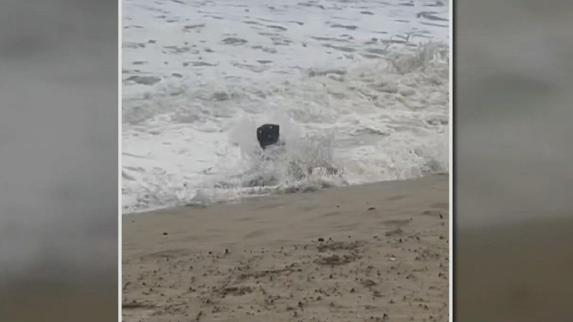 An out-of-state visitor happened to be filming the king tides at Cannon Beach when a woman nearly got swept away in the surf.