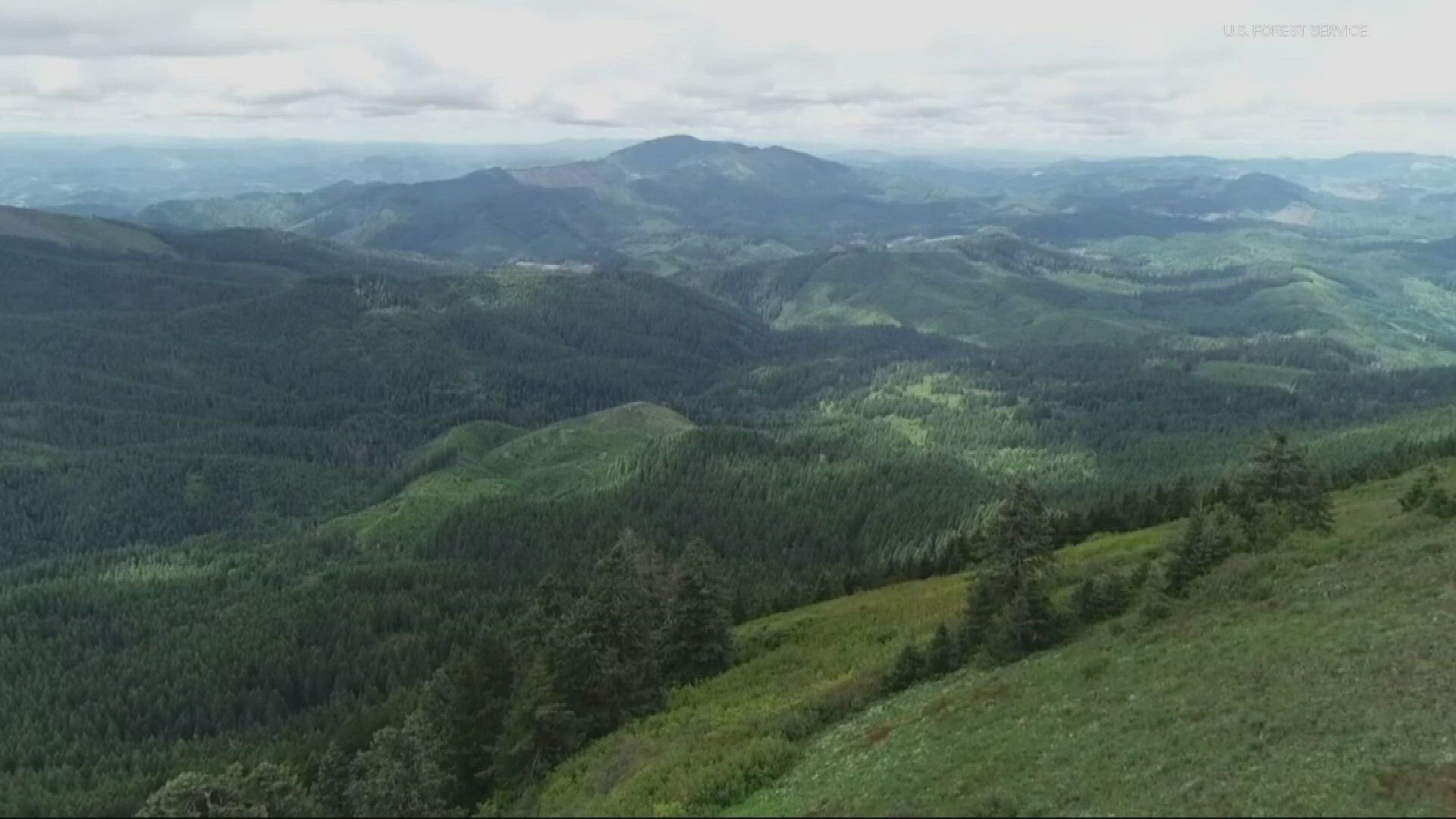 On a clear day, it’s possible to see both the Pacific Ocean and volcanoes of the Cascades from Marys Peak in the Siuslaw National Forest.