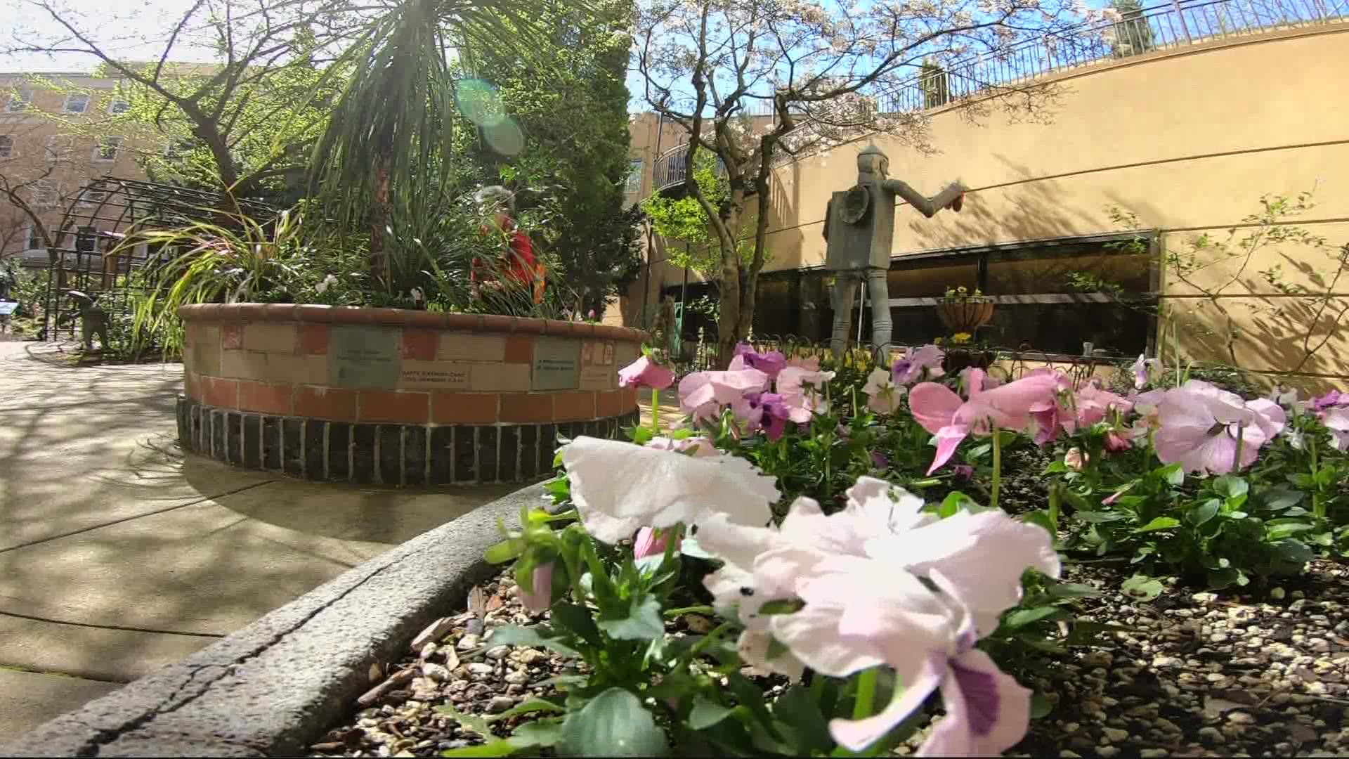 Legacy Health Designs Gardens To Help Relieve Stress Kgw Legacy Health Designs Gardens To Help Relieve Stress Kgw
