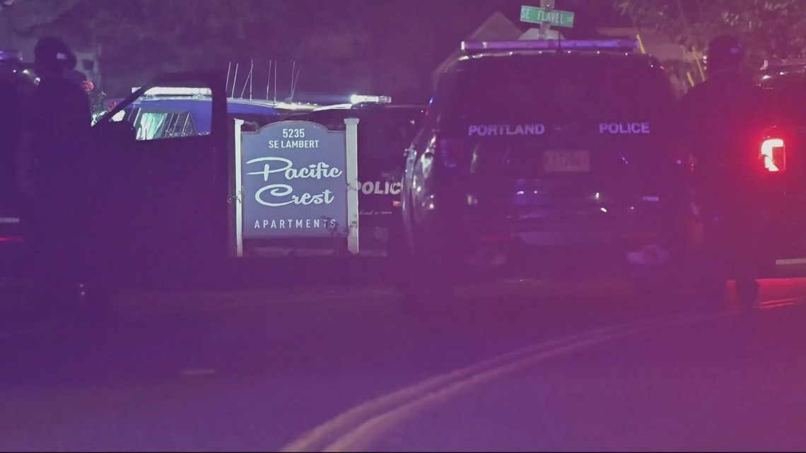 Portland Police Shoot And Kill Man With Knife Pellet Air Rifle Kgw portland-police-shoot-and-kill-man-with-knife-pellet-air-rifle-kgw