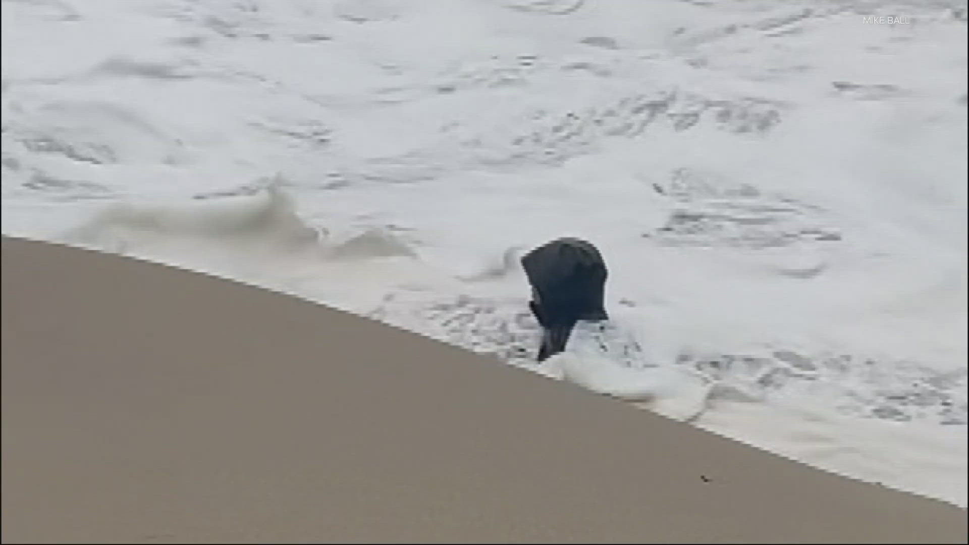 Officials caution people to watch the king tides from a safe distance, as a video posted on the Cannon Beach Facebook page illustrates.