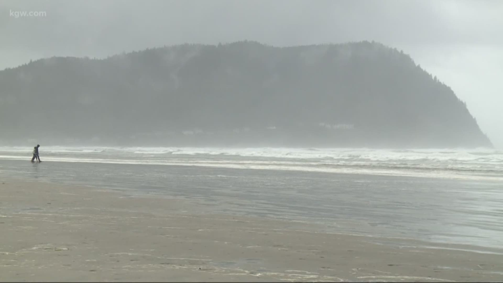 Wild weather on the Oregon Coast. We headed out there to view the stormy day.