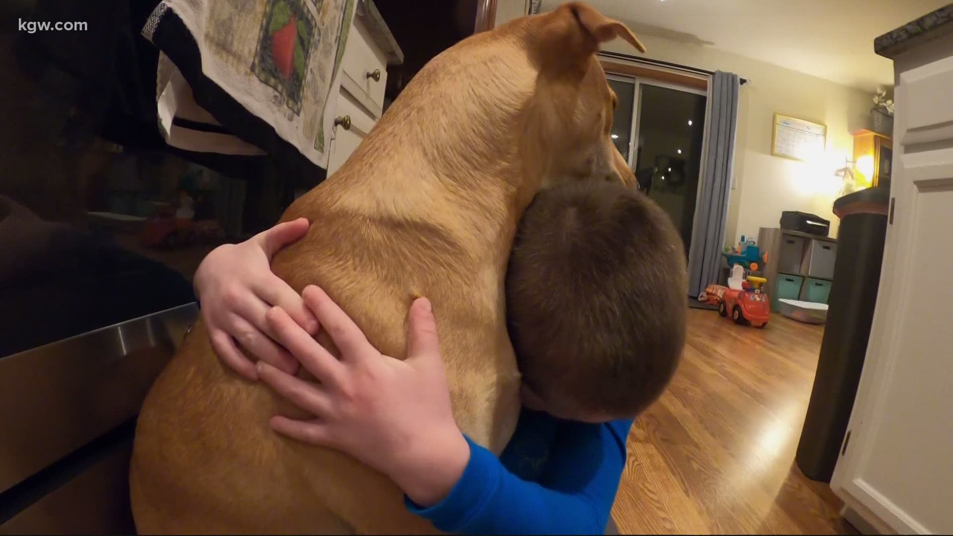 Researchers look at the bond quality between dogs and kids, when compared to dogs and adults.