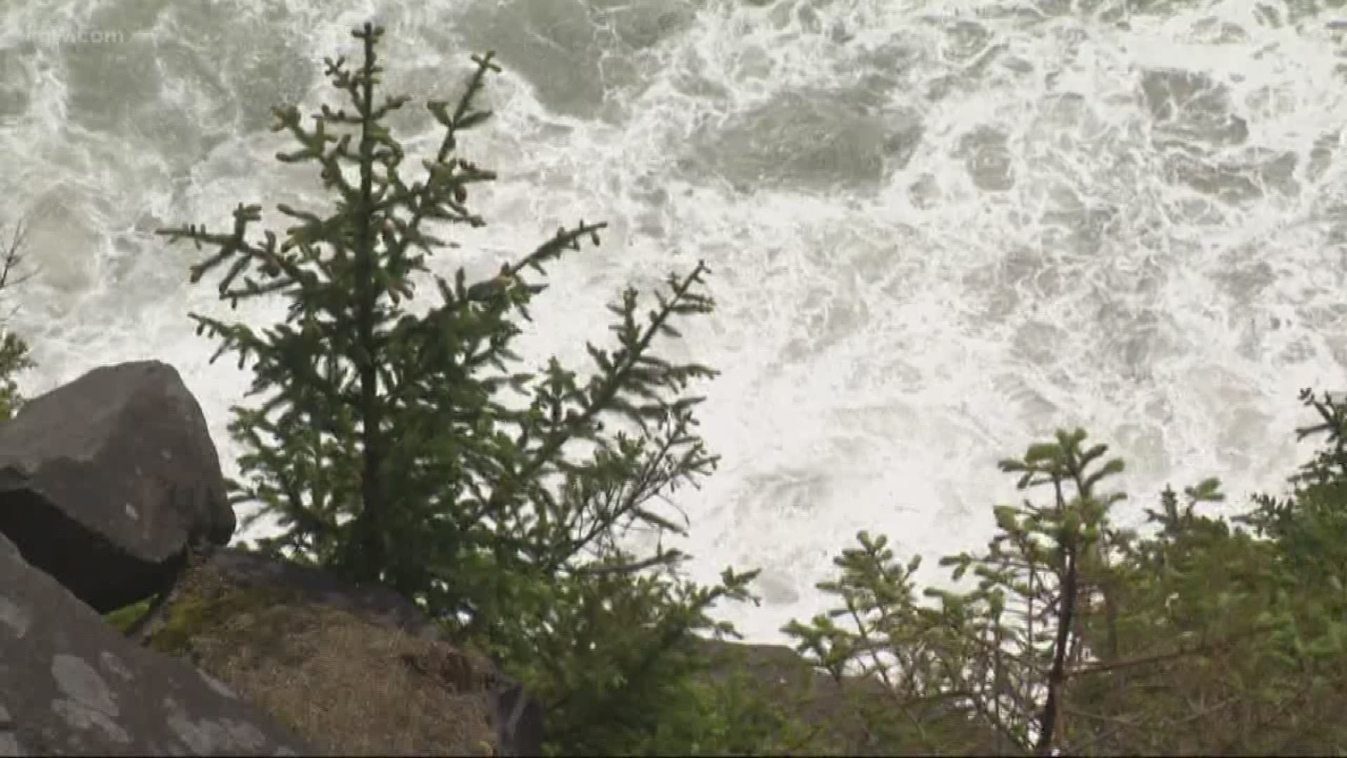 An OSU student died in a fall on the Oregon Coast.