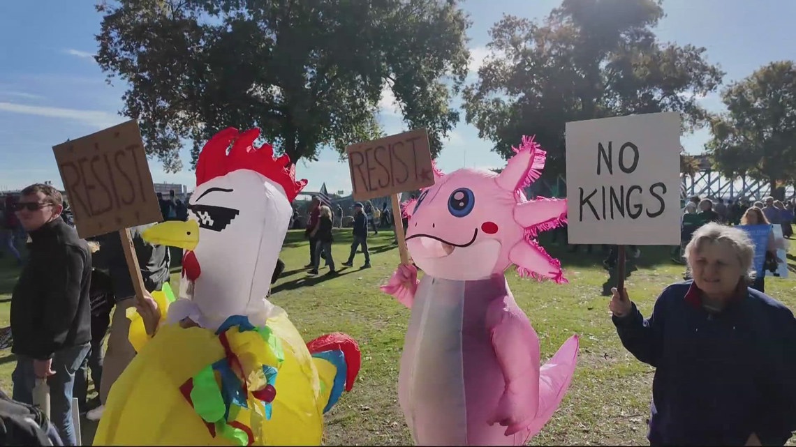 Experts say No Kings protests signal surge in US political activism