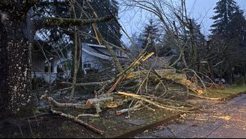 'Catastrophic destruction': PGE works on repairs as 157,000 customers still without power